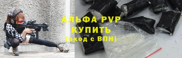 амф Богородицк