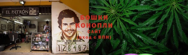амф Богородицк