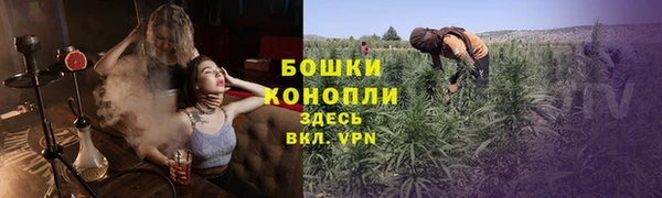тгк Богданович