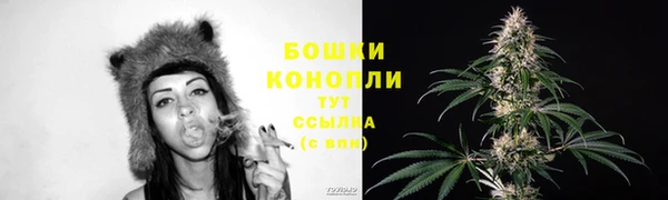 тгк Богданович