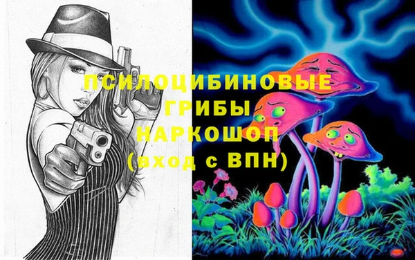 тгк Богданович