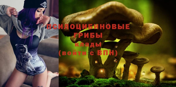 тгк Богданович